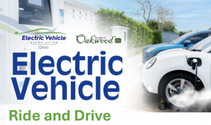 EVs charging at a DC fast charger.